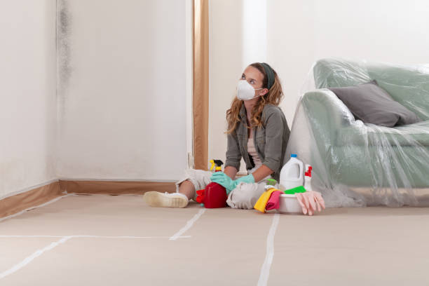 Reliable Crawl Space Mold Remediation contractor in Troutdale, OR by Mold Remediation HQ